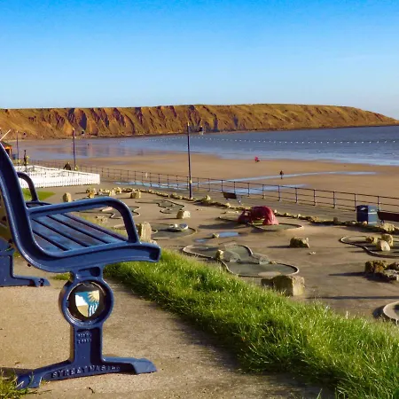 Beech Filey